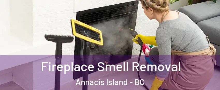  Fireplace Smell Removal Annacis Island - BC