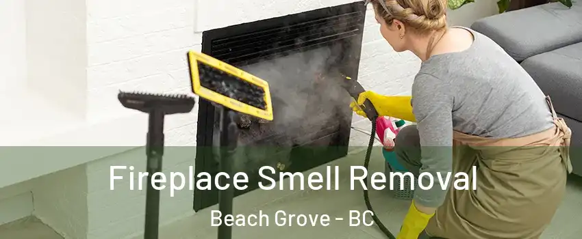  Fireplace Smell Removal Beach Grove - BC