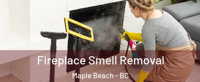  Fireplace Smell Removal Maple Beach - BC