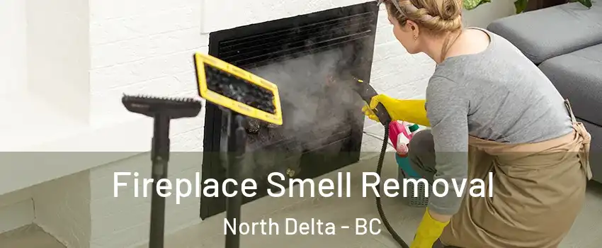  Fireplace Smell Removal North Delta - BC