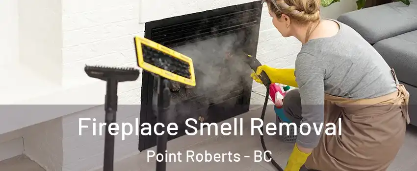  Fireplace Smell Removal Point Roberts - BC