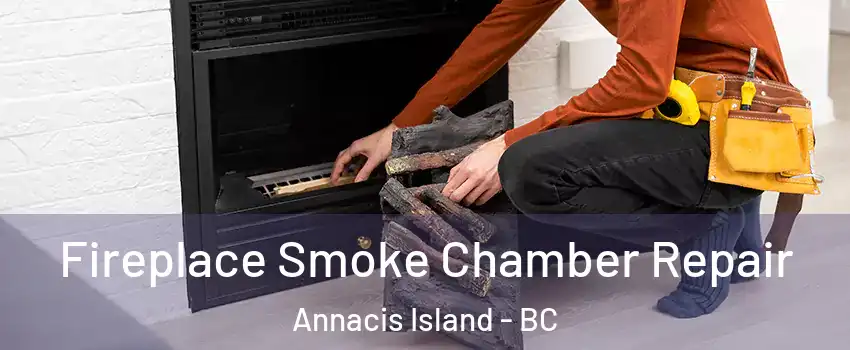  Fireplace Smoke Chamber Repair Annacis Island - BC