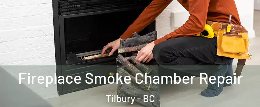  Fireplace Smoke Chamber Repair Tilbury - BC