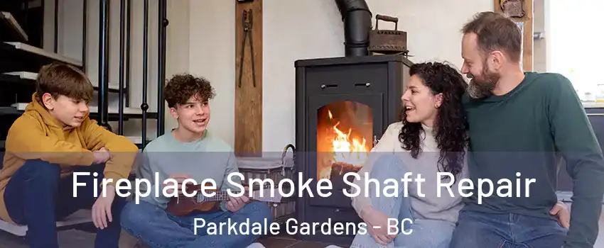  Fireplace Smoke Shaft Repair Parkdale Gardens - BC
