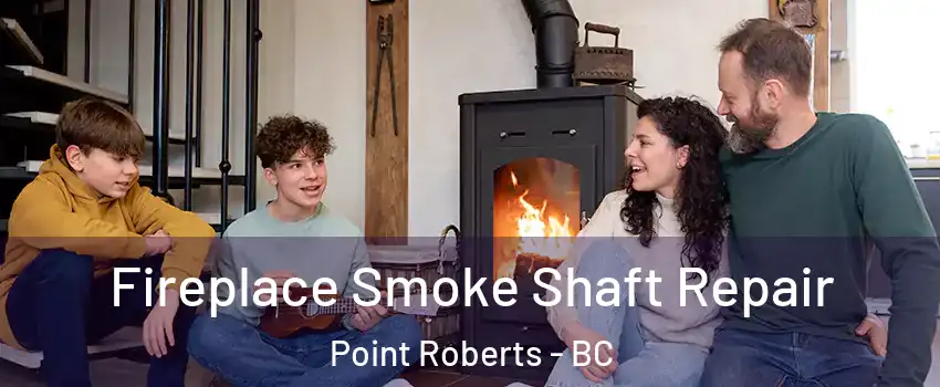  Fireplace Smoke Shaft Repair Point Roberts - BC