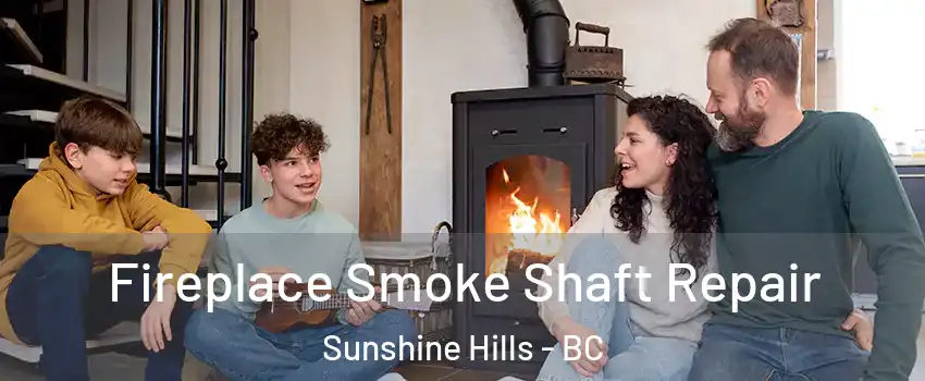  Fireplace Smoke Shaft Repair Sunshine Hills - BC