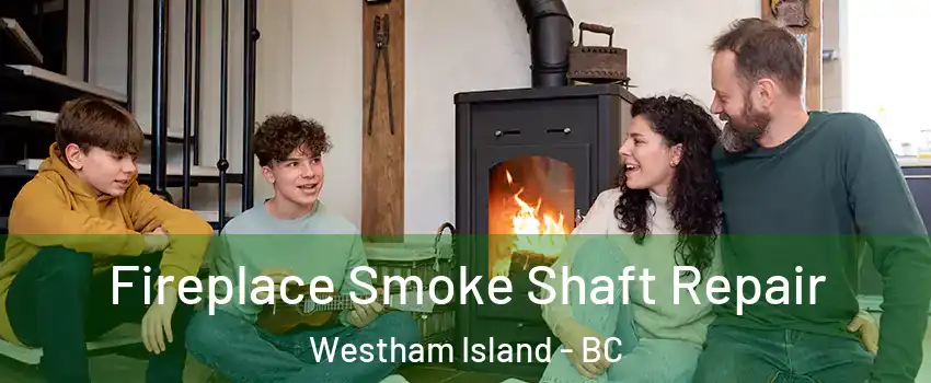  Fireplace Smoke Shaft Repair Westham Island - BC