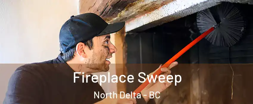  Fireplace Sweep North Delta - BC