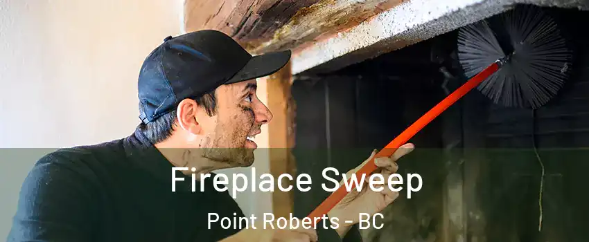  Fireplace Sweep Point Roberts - BC