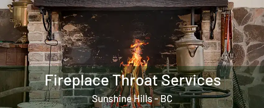  Fireplace Throat Services Sunshine Hills - BC