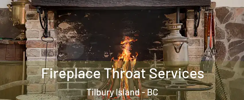  Fireplace Throat Services Tilbury Island - BC