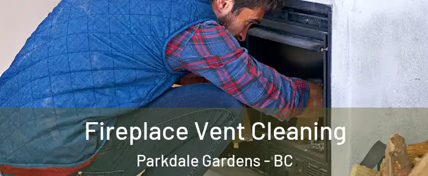  Fireplace Vent Cleaning Parkdale Gardens - BC