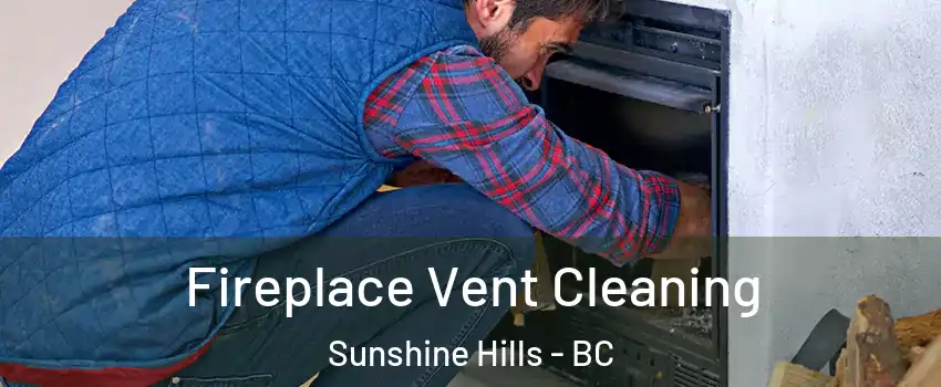  Fireplace Vent Cleaning Sunshine Hills - BC