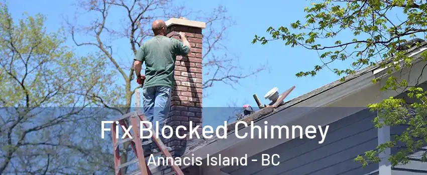  Fix Blocked Chimney Annacis Island - BC