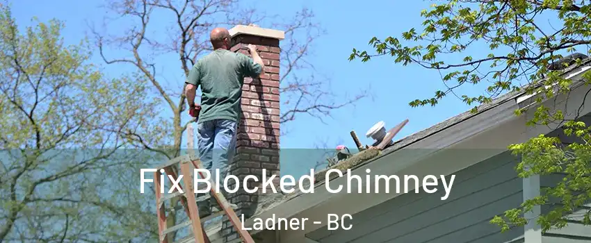  Fix Blocked Chimney Ladner - BC