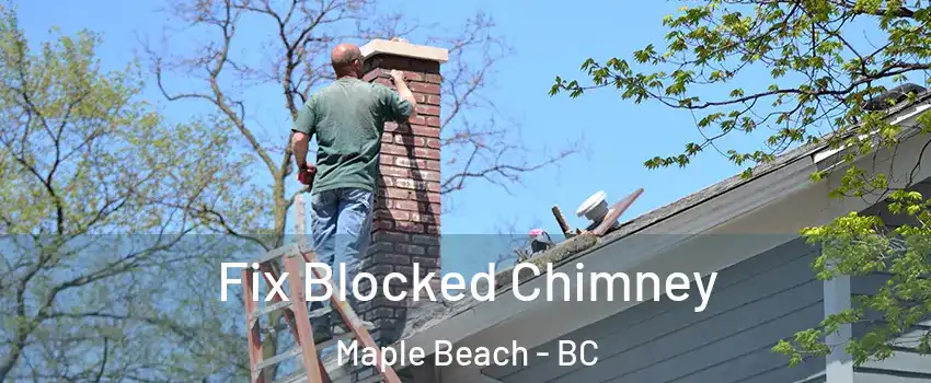  Fix Blocked Chimney Maple Beach - BC