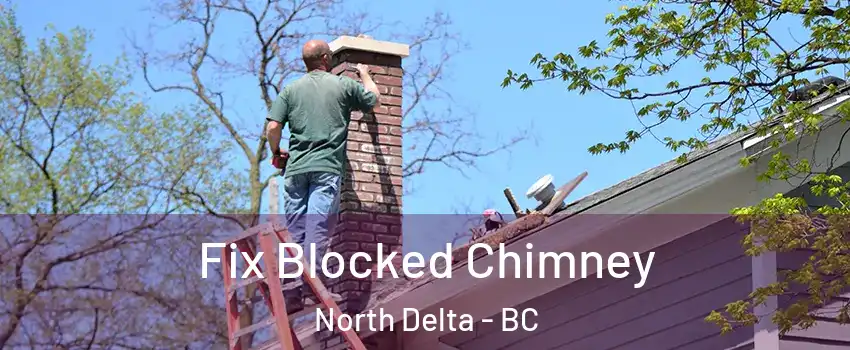 Fix Blocked Chimney North Delta - BC