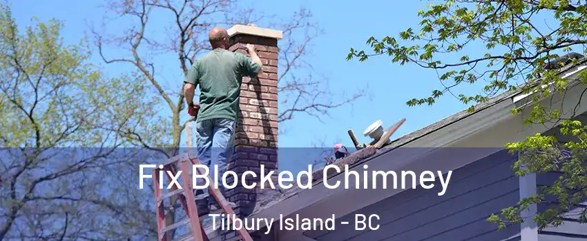  Fix Blocked Chimney Tilbury Island - BC