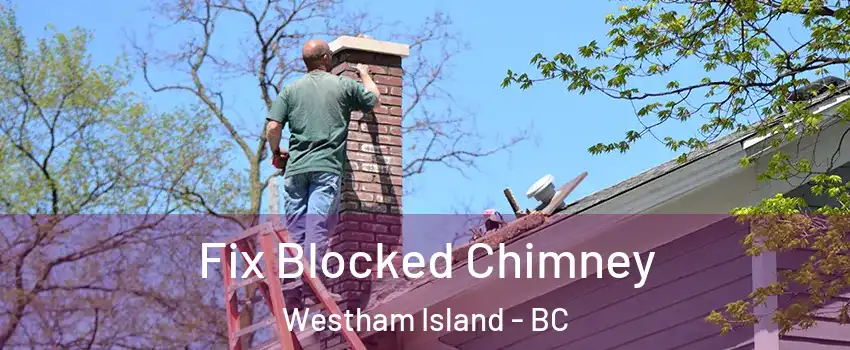  Fix Blocked Chimney Westham Island - BC