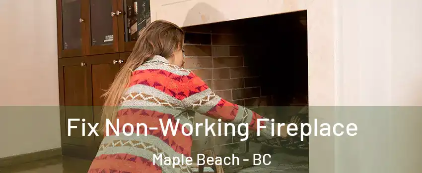 Fix Non-Working Fireplace Maple Beach - BC