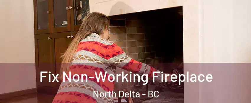 Fix Non-Working Fireplace North Delta - BC