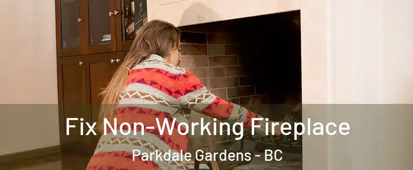  Fix Non-Working Fireplace Parkdale Gardens - BC