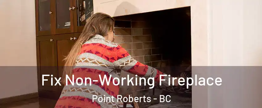  Fix Non-Working Fireplace Point Roberts - BC