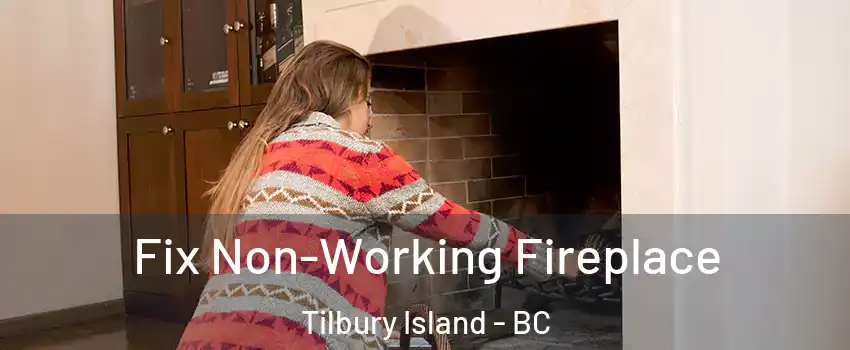  Fix Non-Working Fireplace Tilbury Island - BC