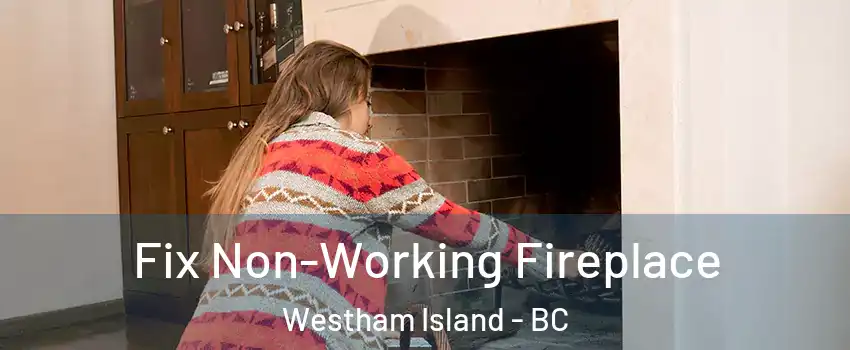  Fix Non-Working Fireplace Westham Island - BC