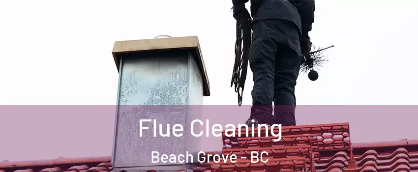  Flue Cleaning Beach Grove - BC