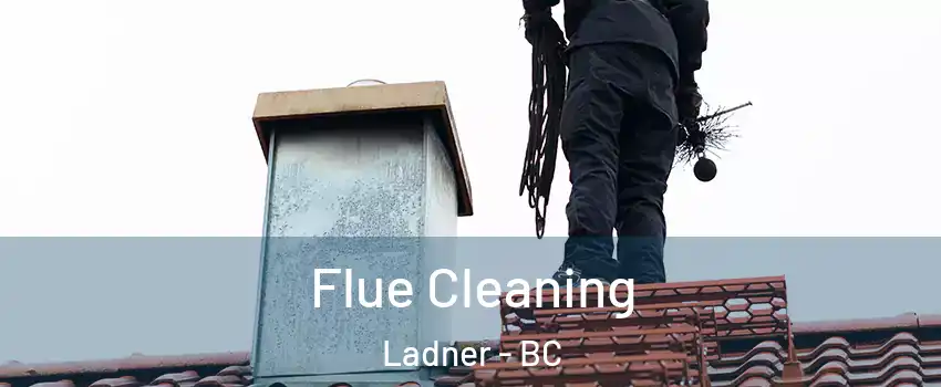  Flue Cleaning Ladner - BC