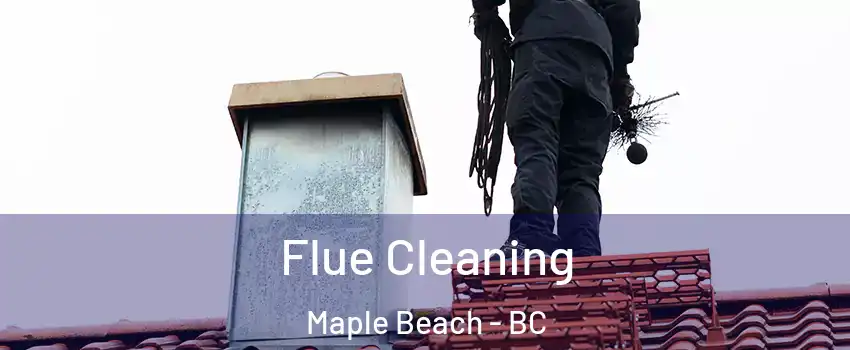  Flue Cleaning Maple Beach - BC