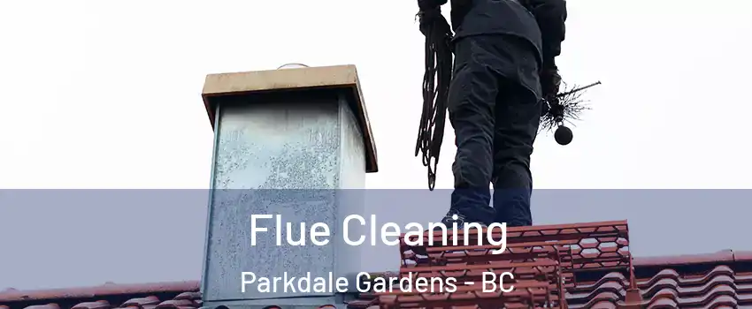  Flue Cleaning Parkdale Gardens - BC