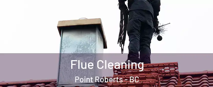 Flue Cleaning Point Roberts - BC