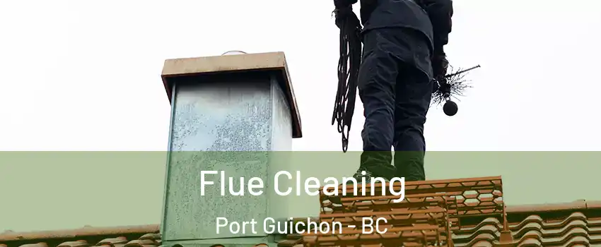  Flue Cleaning Port Guichon - BC