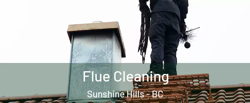  Flue Cleaning Sunshine Hills - BC