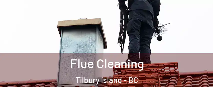  Flue Cleaning Tilbury Island - BC