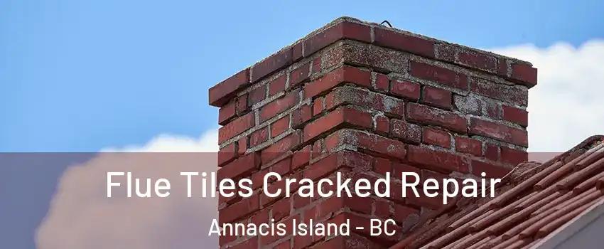  Flue Tiles Cracked Repair Annacis Island - BC