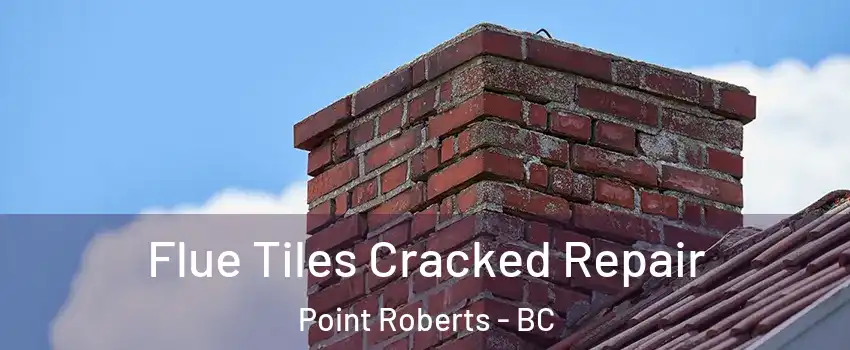  Flue Tiles Cracked Repair Point Roberts - BC