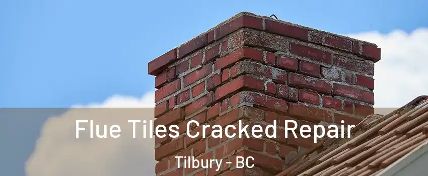  Flue Tiles Cracked Repair Tilbury - BC