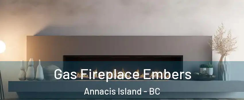  Gas Fireplace Embers Annacis Island - BC