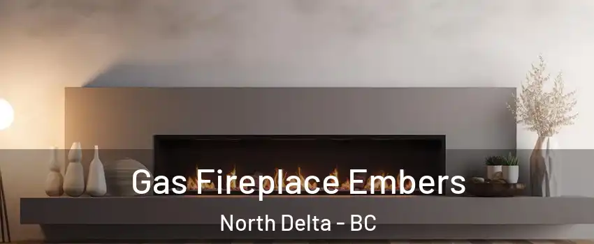  Gas Fireplace Embers North Delta - BC