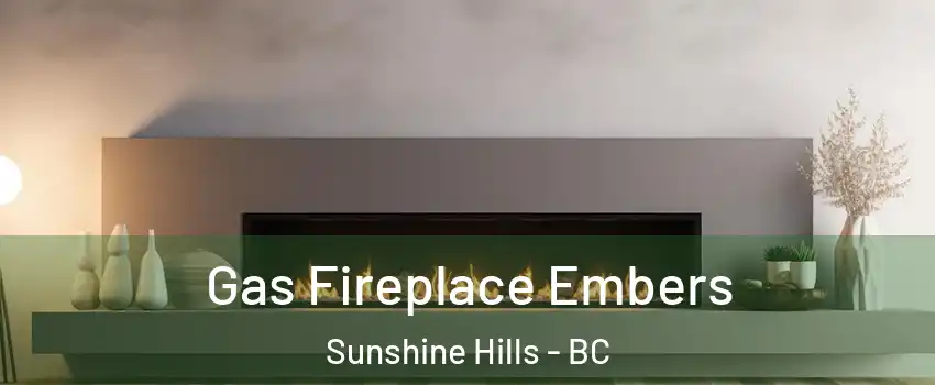  Gas Fireplace Embers Sunshine Hills - BC