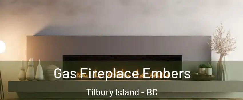  Gas Fireplace Embers Tilbury Island - BC