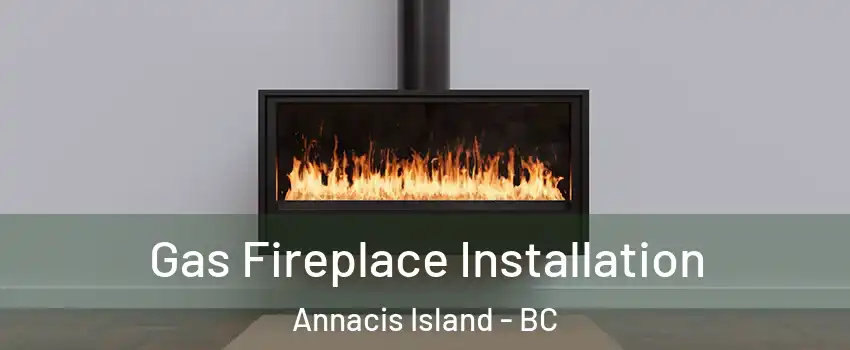  Gas Fireplace Installation Annacis Island - BC