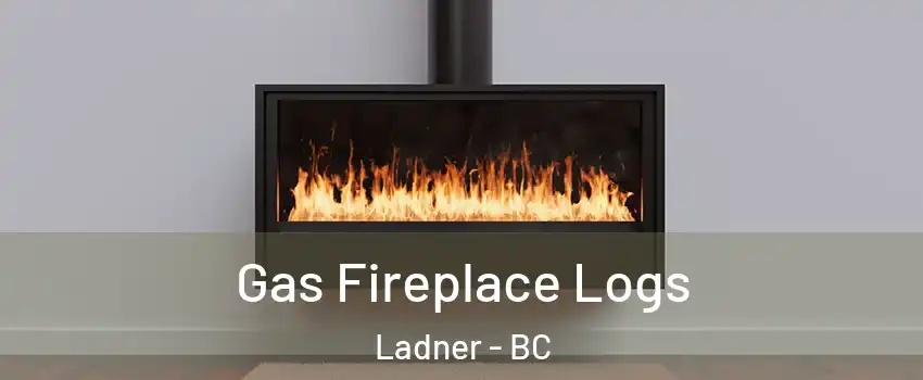  Gas Fireplace Logs Ladner - BC