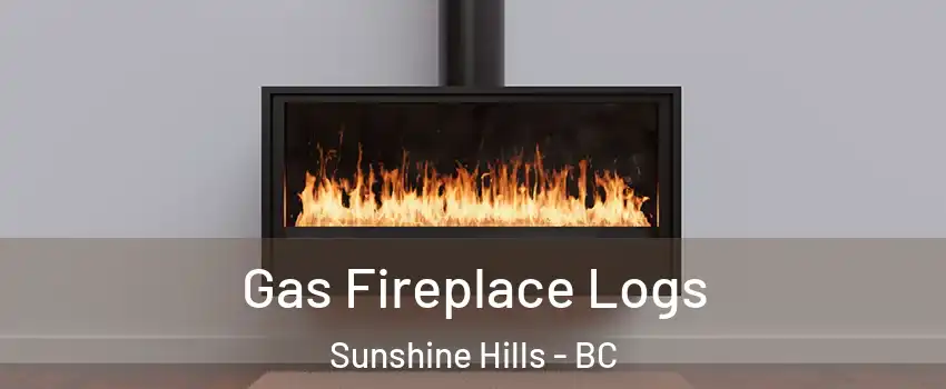  Gas Fireplace Logs Sunshine Hills - BC