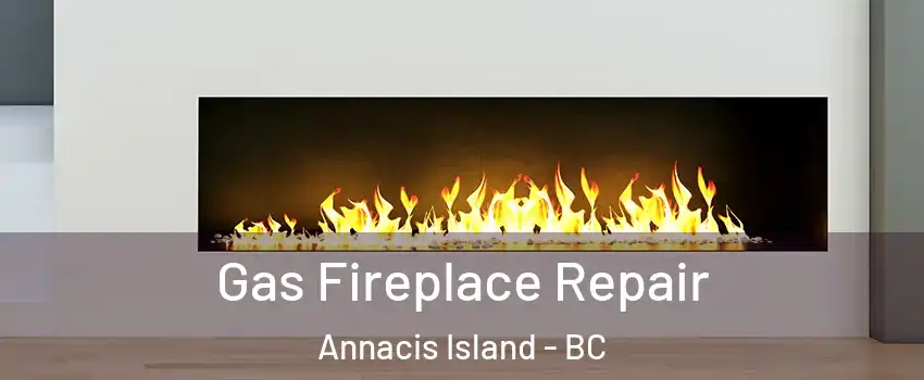  Gas Fireplace Repair Annacis Island - BC
