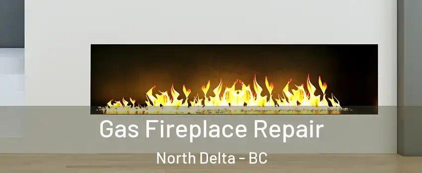  Gas Fireplace Repair North Delta - BC