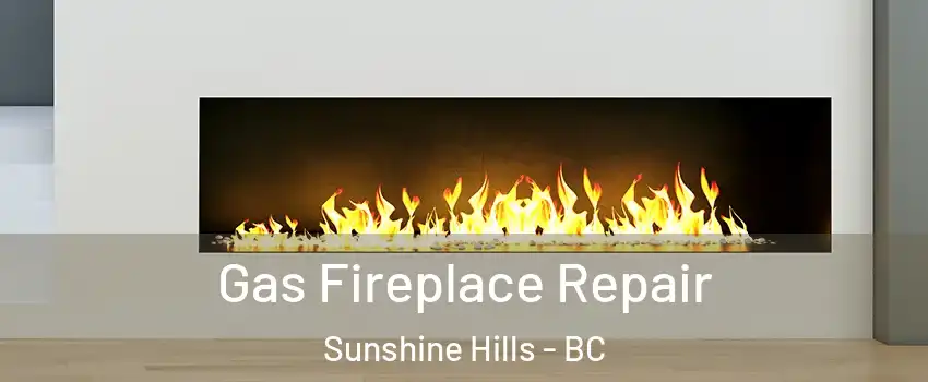  Gas Fireplace Repair Sunshine Hills - BC